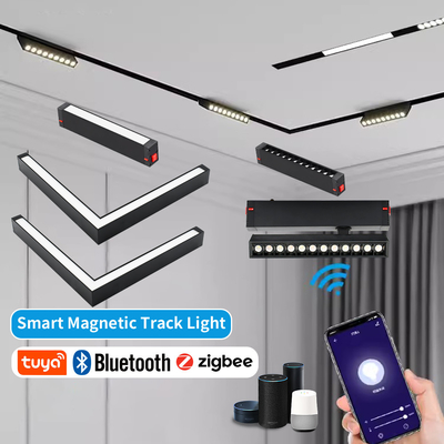 Eingebettete Smart Spotlight Klappgitterleuchte 220V 25mm Magnetlicht