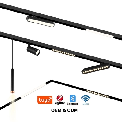 Intelligente 220V-Hochspannungs-Linienleuchte LED-Wohnzimmer-Magnetlicht